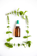 health and herbal medicine concept with green mint branches on white background,top view.
