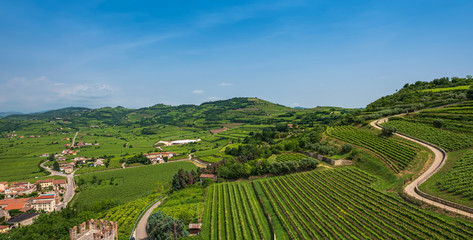 Soave, Italy. Country road among the vineyards on the hills.