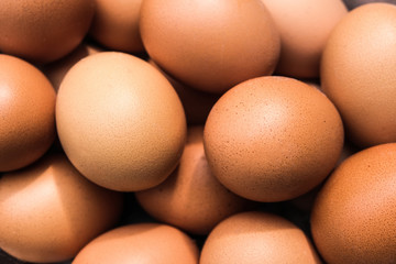 egg background ,macro shot.