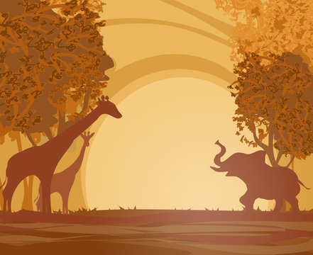 African sunset and animals, abstract illustration