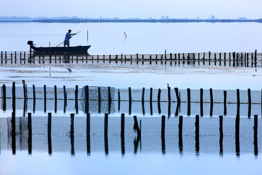 Fisherman in traditional fish farm called "ivari" by the locals, at the lagoon of Messolonghi, Aitoloakarnania, Central Greece 