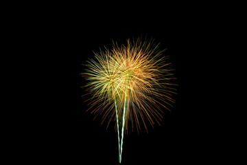 fireworks in the sky