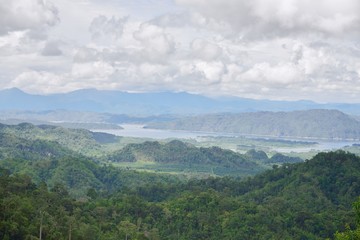Forest Of Thailand with Landscape View