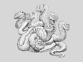 Lernaean Hydra - mythological creature. Multi headed dragon drawing. Fearsome monster.  - obrazy, fototapety, plakaty