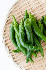 万願寺とうがらし