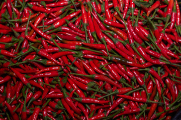 Fototapeta premium agriculculture, farming, crops, farm produce