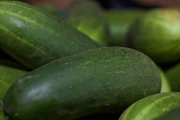 agriculculture, farming, crops, farm produce
