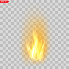 Realistic burning fire flames vector 