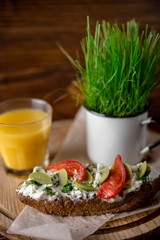  Vegetarian bruschetta. Rustic breakfast in green grass