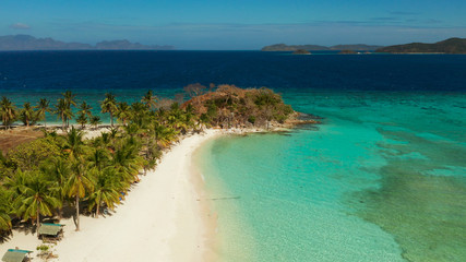 aerial view tropical island with sand white beach, palm trees. Malcapuya, Philippines, Palawan. Tropical landscape with blue lagoon, coral reef