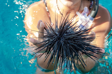 Black Sea urchin being held out of water by girl in boked background - obrazy, fototapety, plakaty