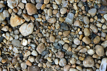 stones on the ground