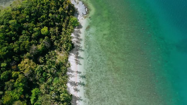 4k drone aerial circle fly above blue lagoon and paradise sandy beach with palm trees swaying in the wind. Exotic travel concept. Palawan, El Nido, Philippines
