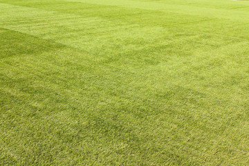 Artificial football field. Clean green lawn. Background. Texture.