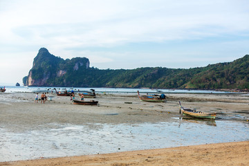 View from the beach on a green tropical island at low tide
