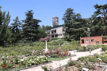 Jardin fleuri à Madrid, Espagne