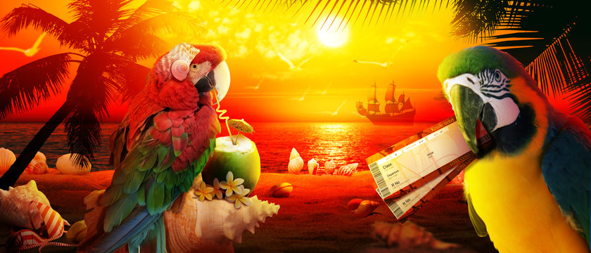 Papagei im Urlaub am Strand