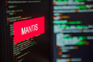 Programming language, Mantis inscription on the background of computer code.