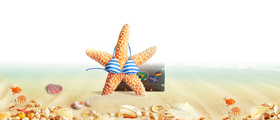 Strand Motiv mit Seestern und Muscheln