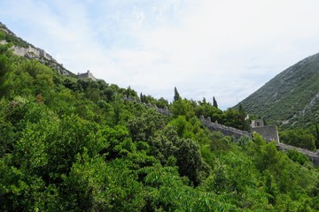 A distant views of the walls of Ston cutting through the forests and mountain above Ston, Croatia.