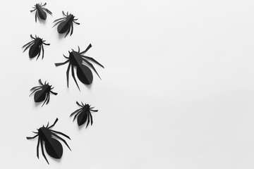 Spiders on white background. Halloween holiday concept. Top view, flat lay