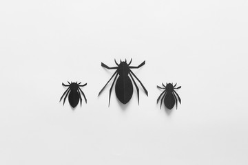 Spiders on white background. Halloween holiday concept. Top view, flat lay