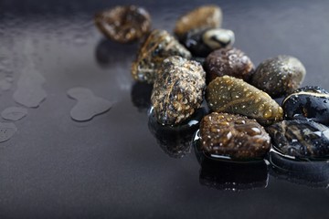 Wet Stones / Pebbles