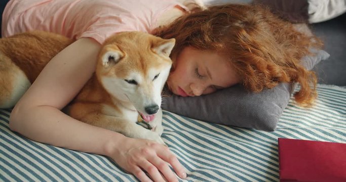 Redhead student attractive young woman is sleeping at home hugging shiba inu dog lying on bed together. Relaxation, people and modern lifestyle concept.