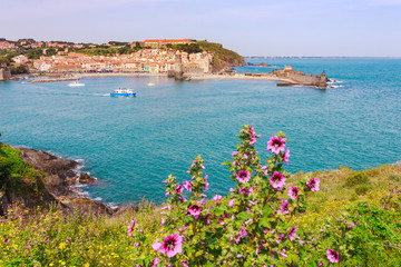 Panorama of Collioure harbour, Languedoc-Roussillon, France, South Europe. Ancient town with old castle on Vermillion coast of French riviera. Famous tourist destination on Mediterranean sea © oleg_p_100