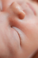 Close up view of sleeping baby eye and eyelashes