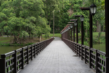 Walkway bridge in green park