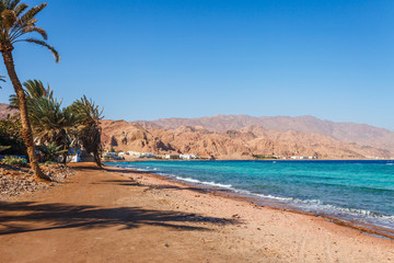 Sunny resort beach at the coast shore of Red Sea in Dahab, Sinai, Egypt, Asia in summer hot. Famous tourist destination near of Sharm el Sheikh. Bright sunny light