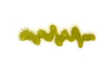 Graffiti liquid strokes sprayed on white isolated background