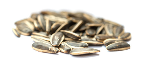 sunflower seeds on white background selective focus