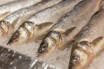 Chilled fish lying on the ice on the counter in the supermarket, close-up.