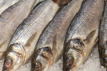 Chilled fish lying on the ice on the counter in the supermarket, close-up.