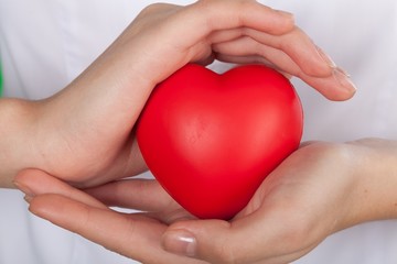 Closeup of a Doctor Holding a Heart