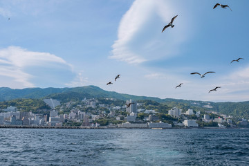 Fototapeta na wymiar seagulls and japanese city