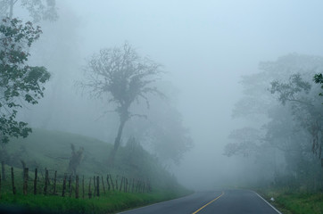 Road Fog
