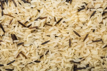 White and Wild Rice