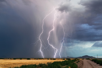 Lightning bolts strike from a thunderstorm - obrazy, fototapety, plakaty