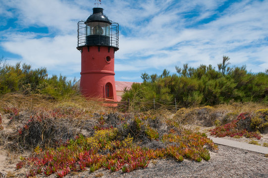 Lighthouse, Valdes Peninsula, Argentina, South America
