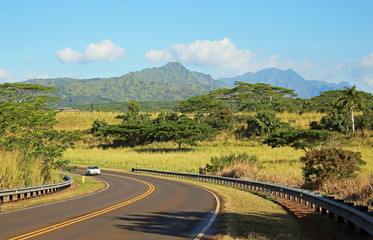 Scenic road, Kauai