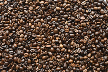 コーヒー豆