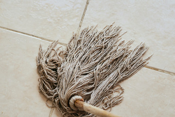 ears of wheat on white background