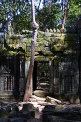 Fototapeta na wymiar temple in cambodia