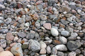 pebbles on the beach