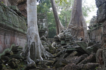 Fototapeta na wymiar jungle temple