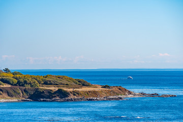 Yacht sailing the waterfront harbour along the deep blue sea coastline in downtown Victoria Canada on clear sunny autumn day. People hiking/walking along the coastal landscape by trees changing colors