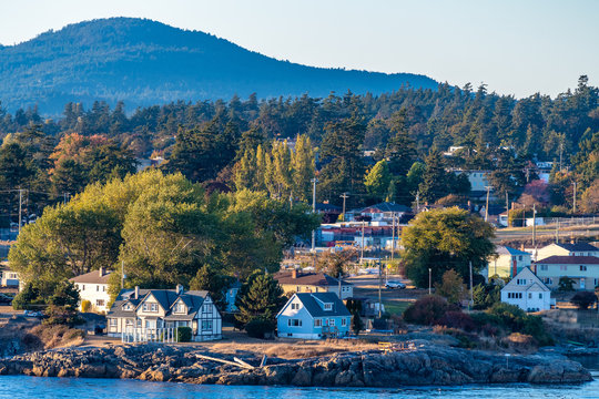 Aerial view of coastal landscape, houses/homes in residential location by the sea and mountains on waterfront ocean water harbour bay, in Victoria, Canada with autumn/ autumnal color plants and trees.